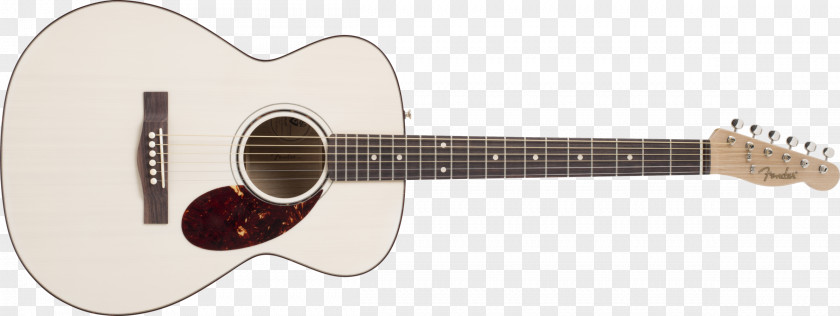 Acoustic Guitar Fender Stratocaster Telecaster Steel-string Maton PNG
