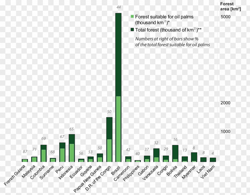 Forest Palm Oil Forestry Economy Industry PNG