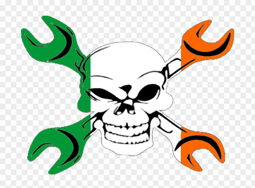 Irish Flag Of Ireland Clip Art PNG