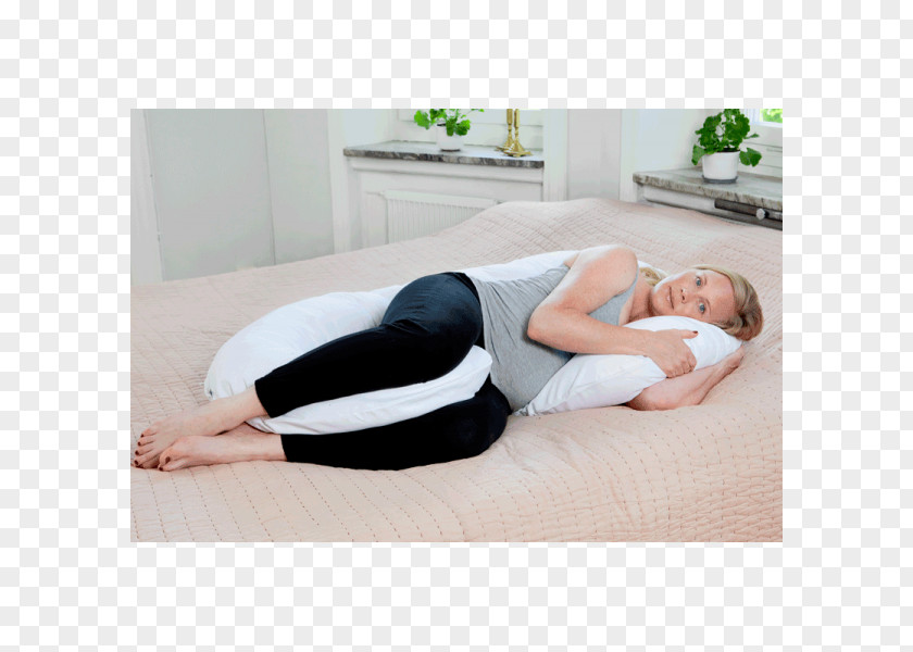 Pillow Organic Food Mattress Sleep PNG