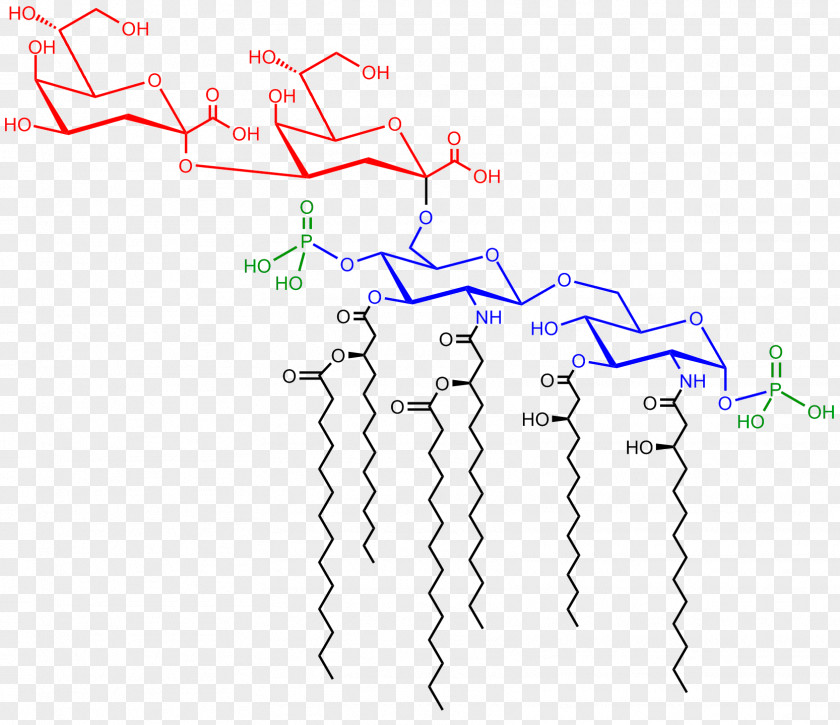 Saccharolipid Endotoxin Cerebroside Lipid A PNG