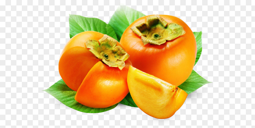 Tomato PNG