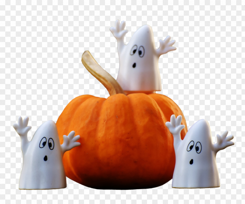 Trick Or Treat Halloween Ghost Jack-o'-lantern Photography PNG