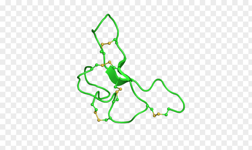 Agouti Signalling Peptide Alpha-Melanocyte-stimulating Hormone Agouti-related PNG