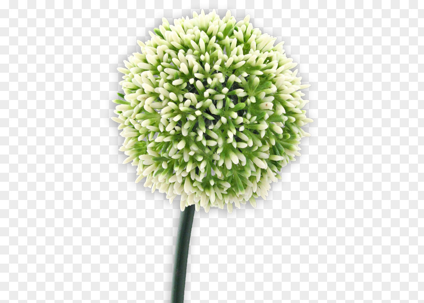 Flower PNG