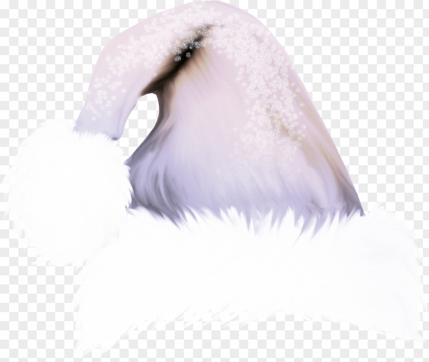 White Feathers Feather Clip Art PNG