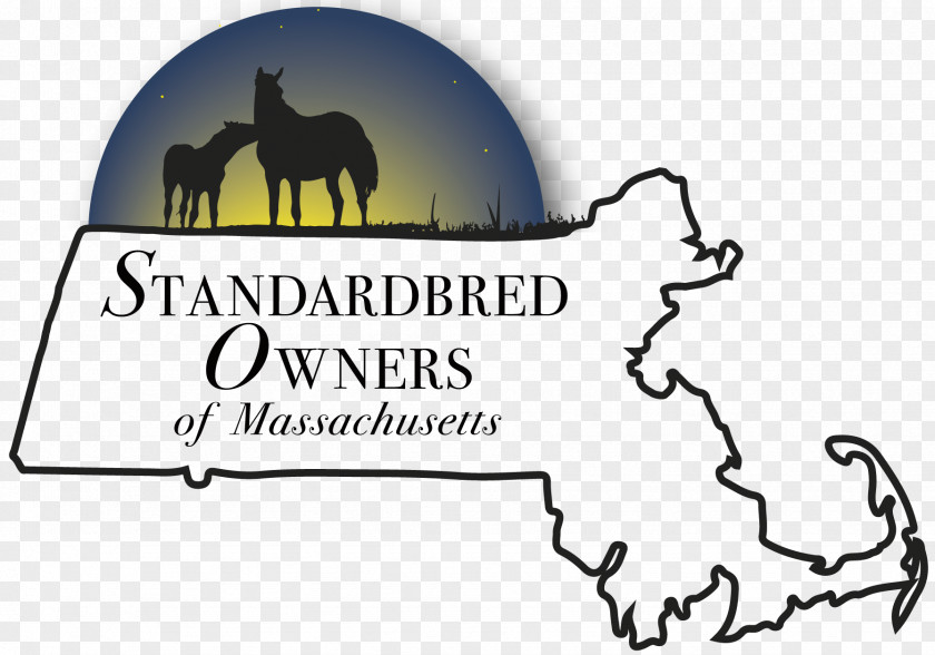 Dog Standardbred Massachusetts Foal Horse Racing PNG