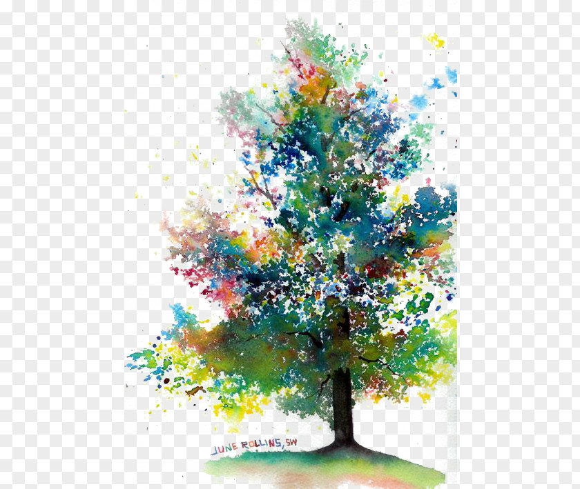Drawing Trees Watercolor Painting Tree PNG