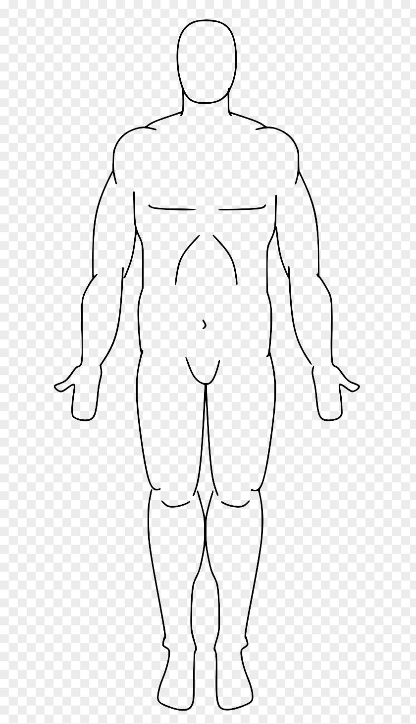 Human Body Standard Anatomical Position Anatomy Homo Sapiens PNG