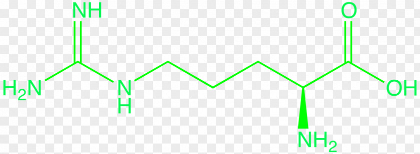 Methylarginine Citrulline Structure Ornithine PNG
