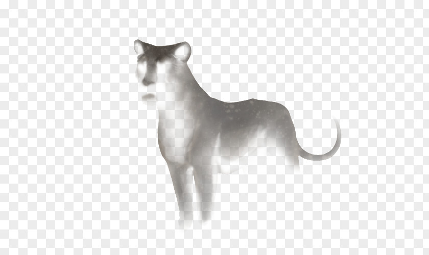 Mid-cover Cat Cougar Felidae Lion Mammal PNG