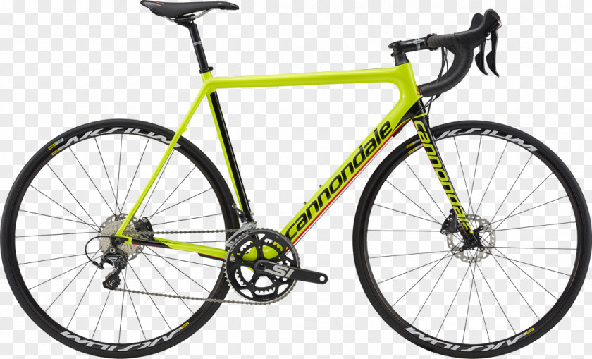 Motion Model Cannondale Bicycle Corporation Ultegra Cycling Racing PNG