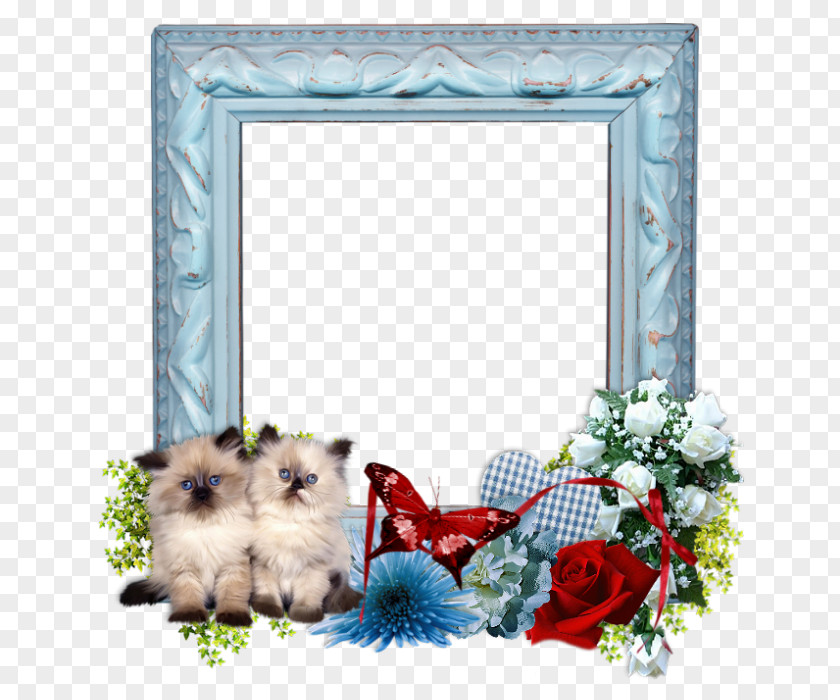 Picture Frame Dog Background Summer PNG