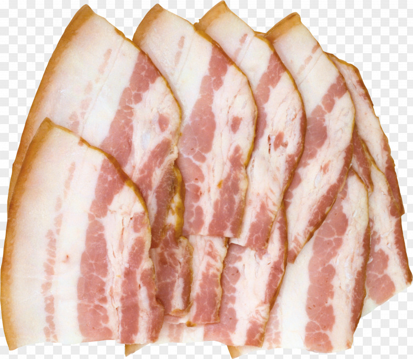 Bacon Meat Pork PNG