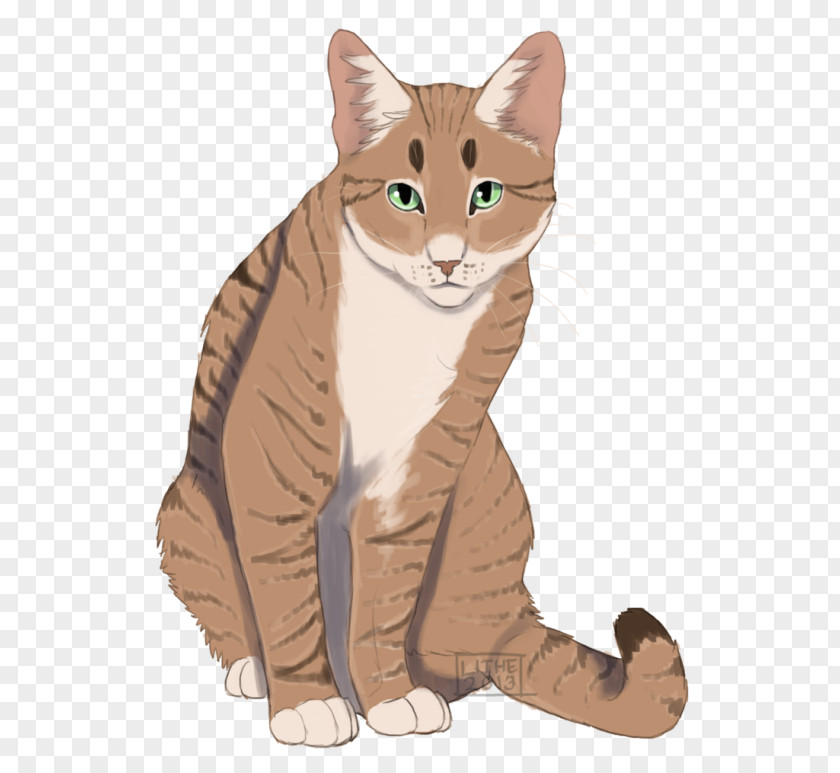 Cat Warriors ThunderClan Hazeltail Wikia PNG