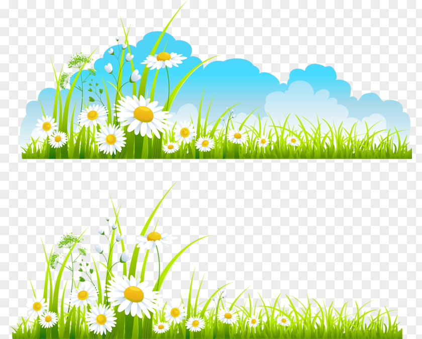 Chrysanthemum Pattern Spring Free Content Clip Art PNG