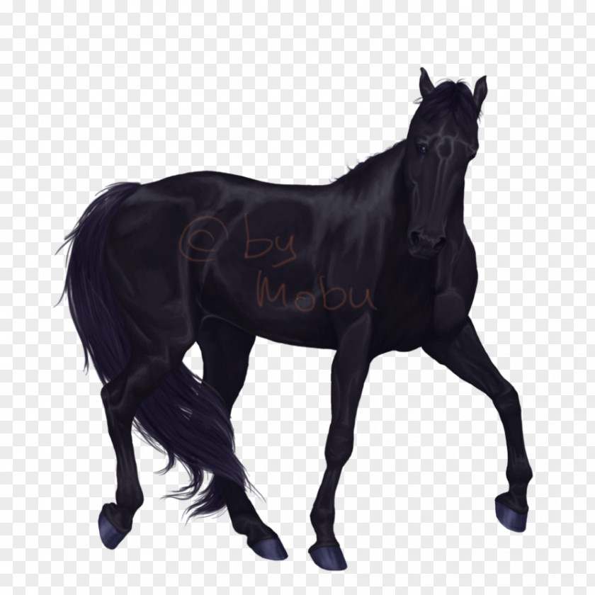 Dark Horse Stallion Mare Foal Mustang Colt PNG