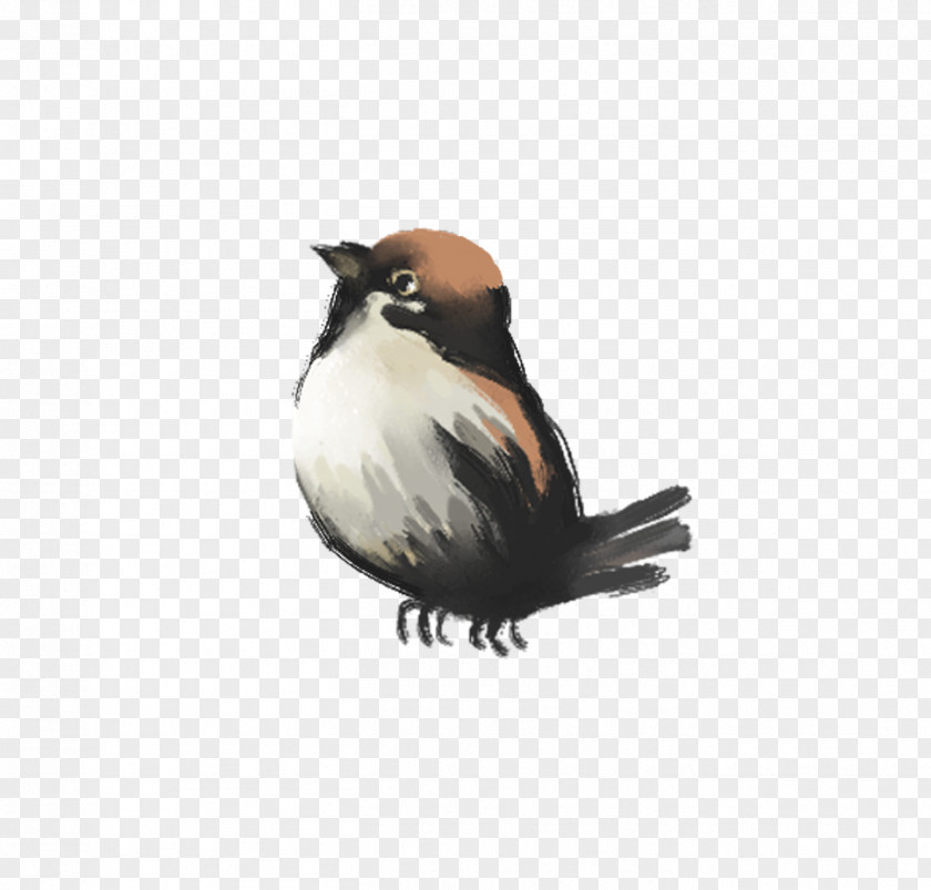 Free Hand-drawn Cartoon Sparrow Matting Bird Ink Painting Drawing PNG