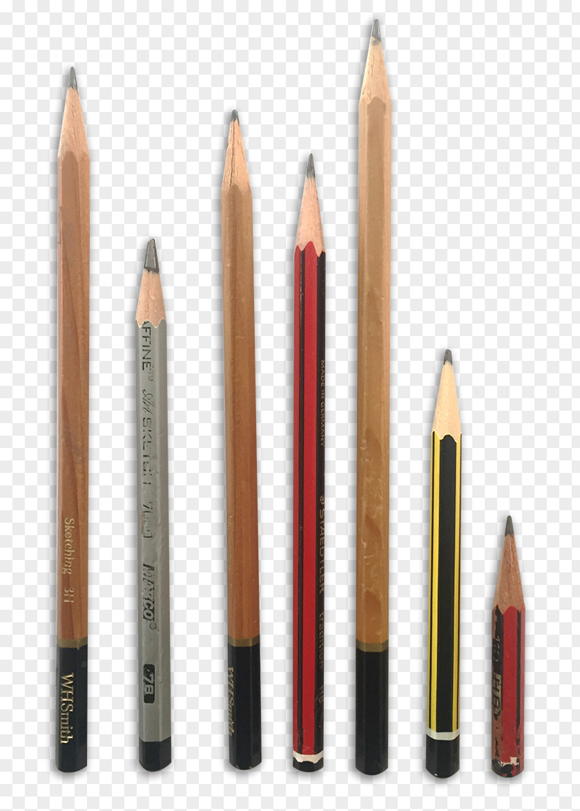 Fynbos Pencil Product Design PNG
