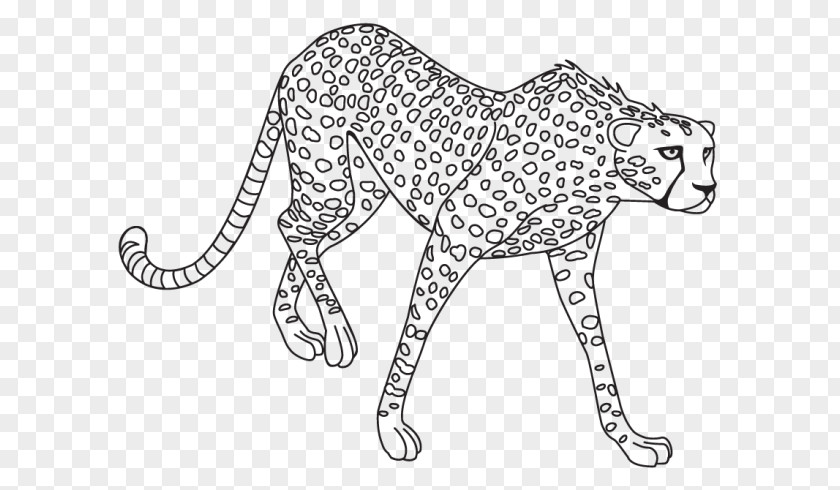 Lion Leopard Jaguar Clip Art PNG