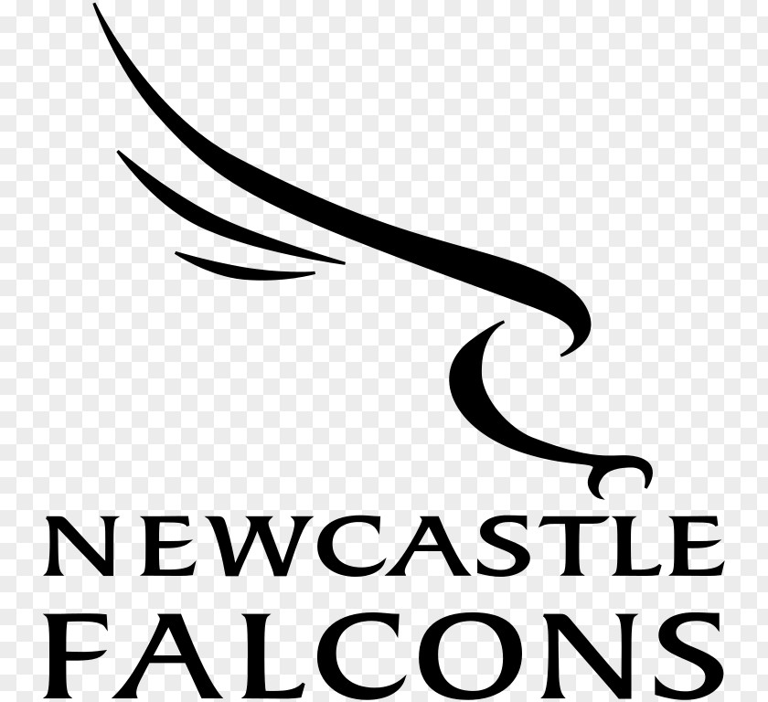 Newcastle Falcons English Premiership Worcester Warriors Upon Tyne Sale Sharks PNG