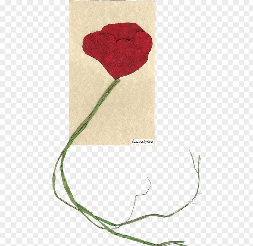 Rose Garden Roses Petal PNG