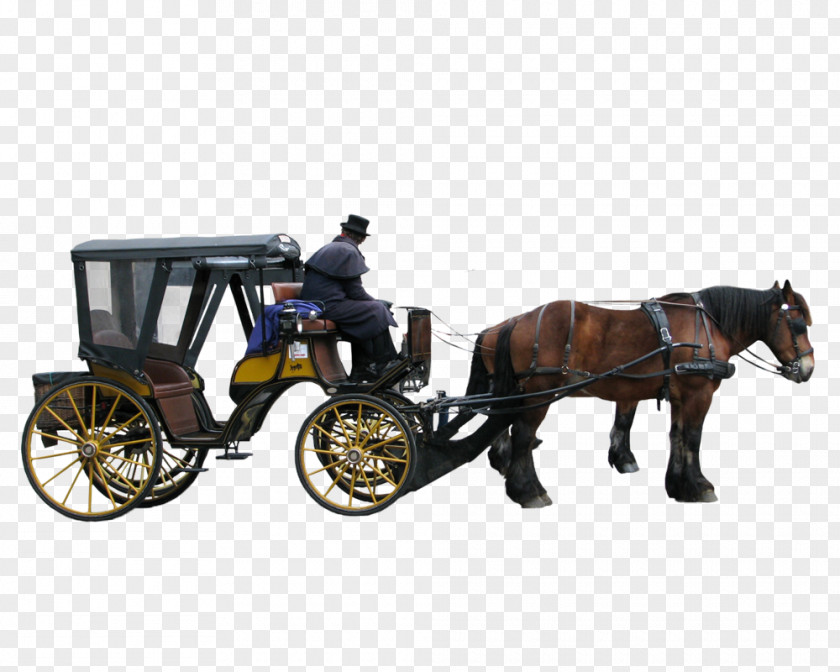 P Carriage Litter Horse-drawn Vehicle PNG