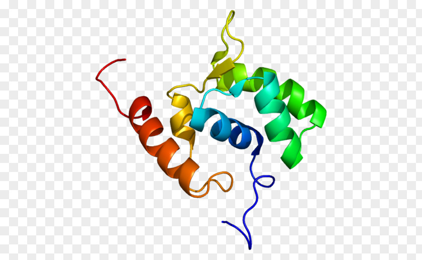 RNA Polymerase Protein Gene PNG