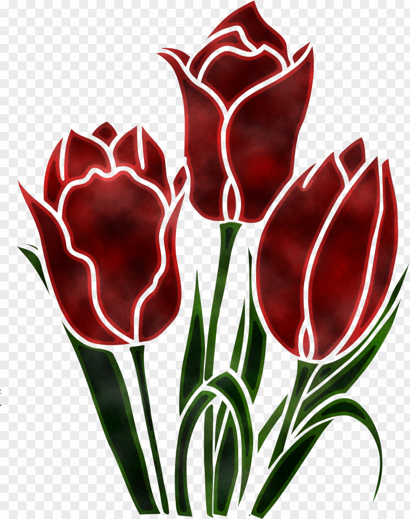 Tulip Flower Plant Petal Pedicel PNG