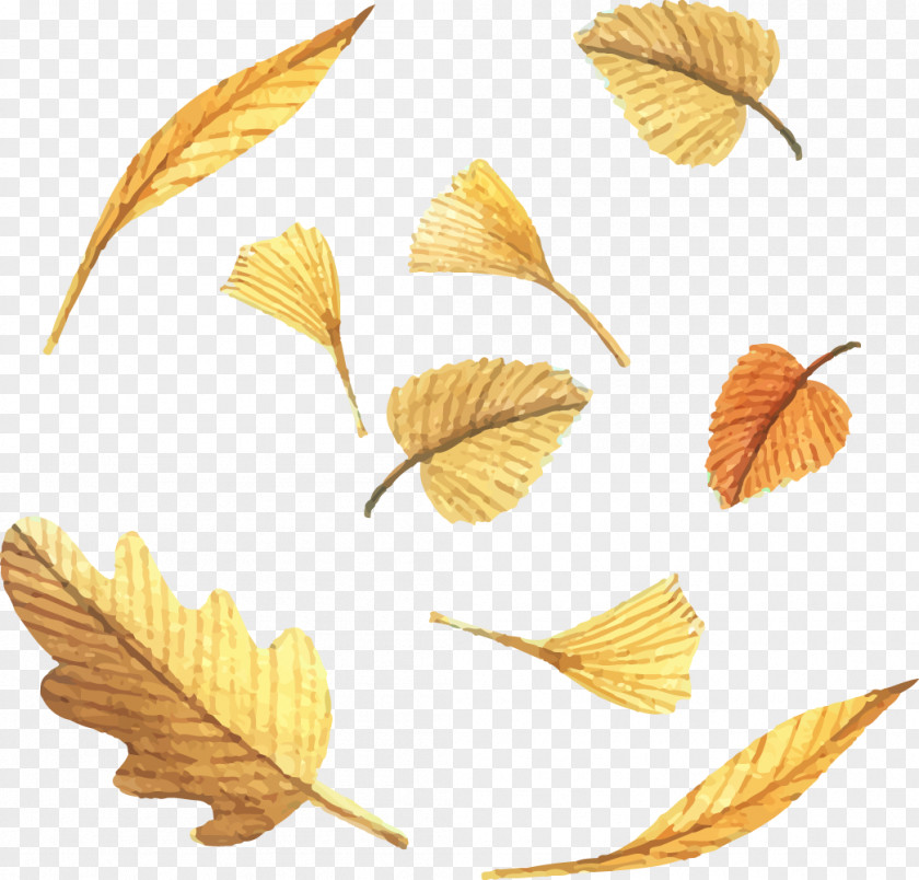Vector Painted Golden Leaves Leaf Euclidean Deciduous PNG