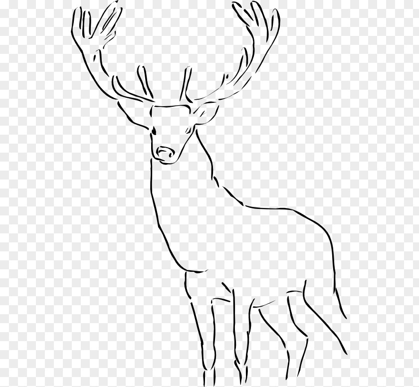 Elkblackandwhite Deer Drawing Clip Art PNG