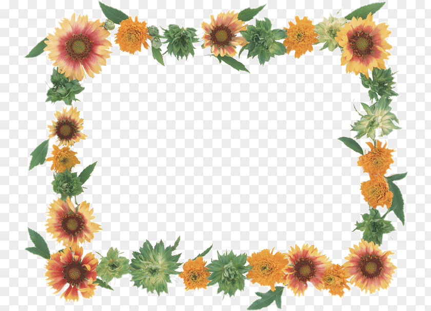 Flower Paper Picture Frames Photography Drawing PNG