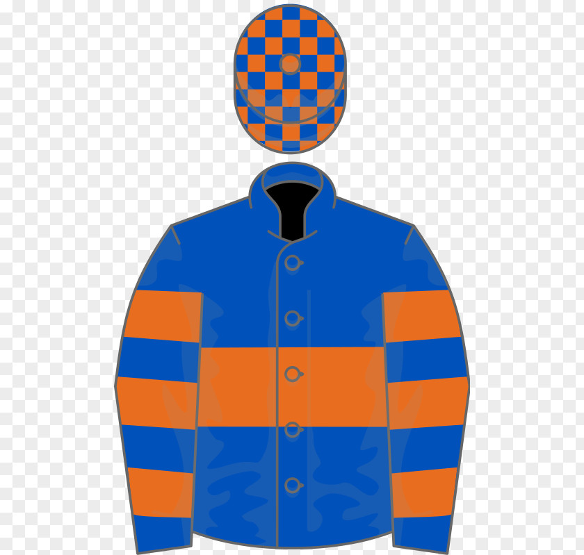 Henessey Oyster Stakes Gallinule Wikipedia Dunboyne Castle Novice Hurdle Sleeve PNG