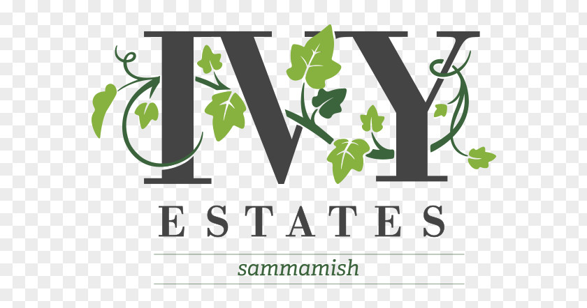 Ivy League Logo Brand Font PNG