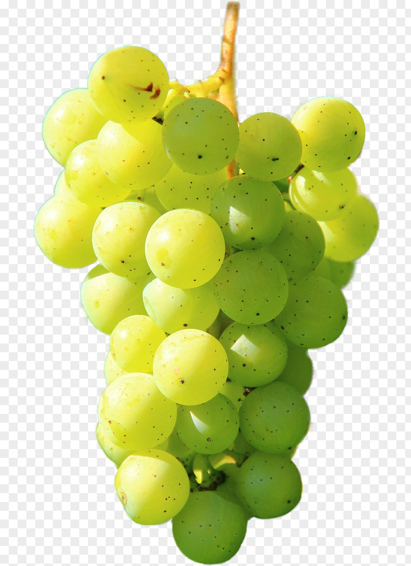 Wine Grape Merseburg PicsArt Photo Studio PNG