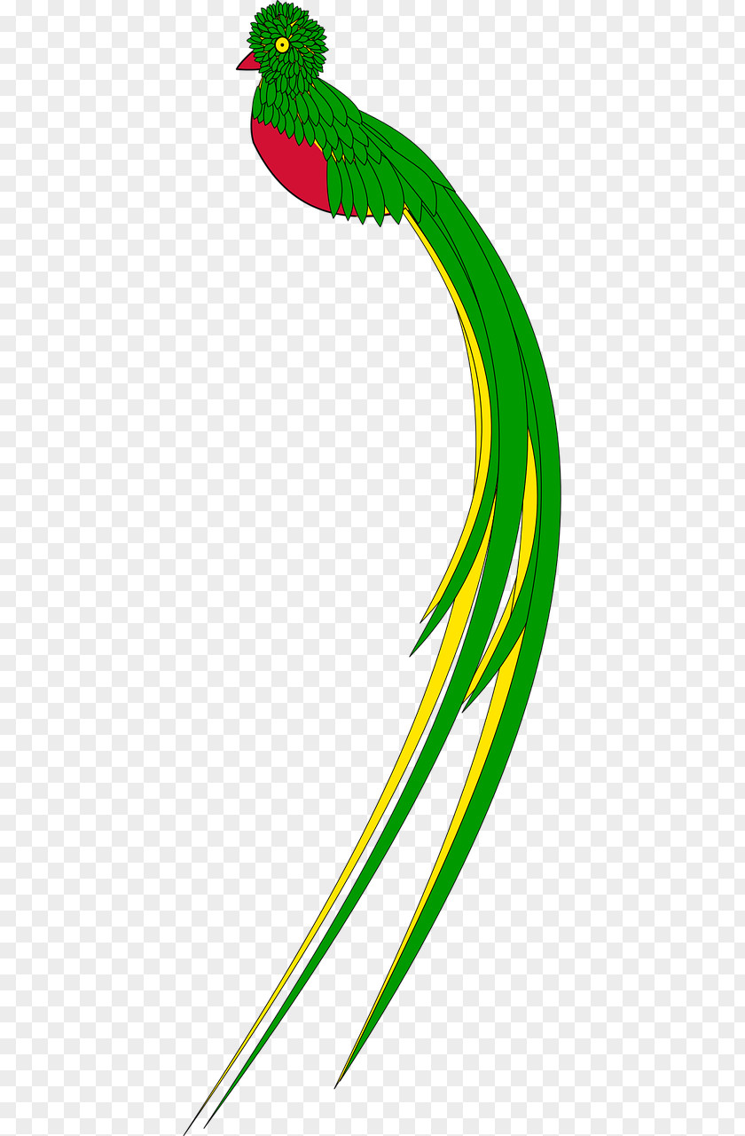 Bird Resplendent Quetzal Guatemalan Drawing Clip Art PNG