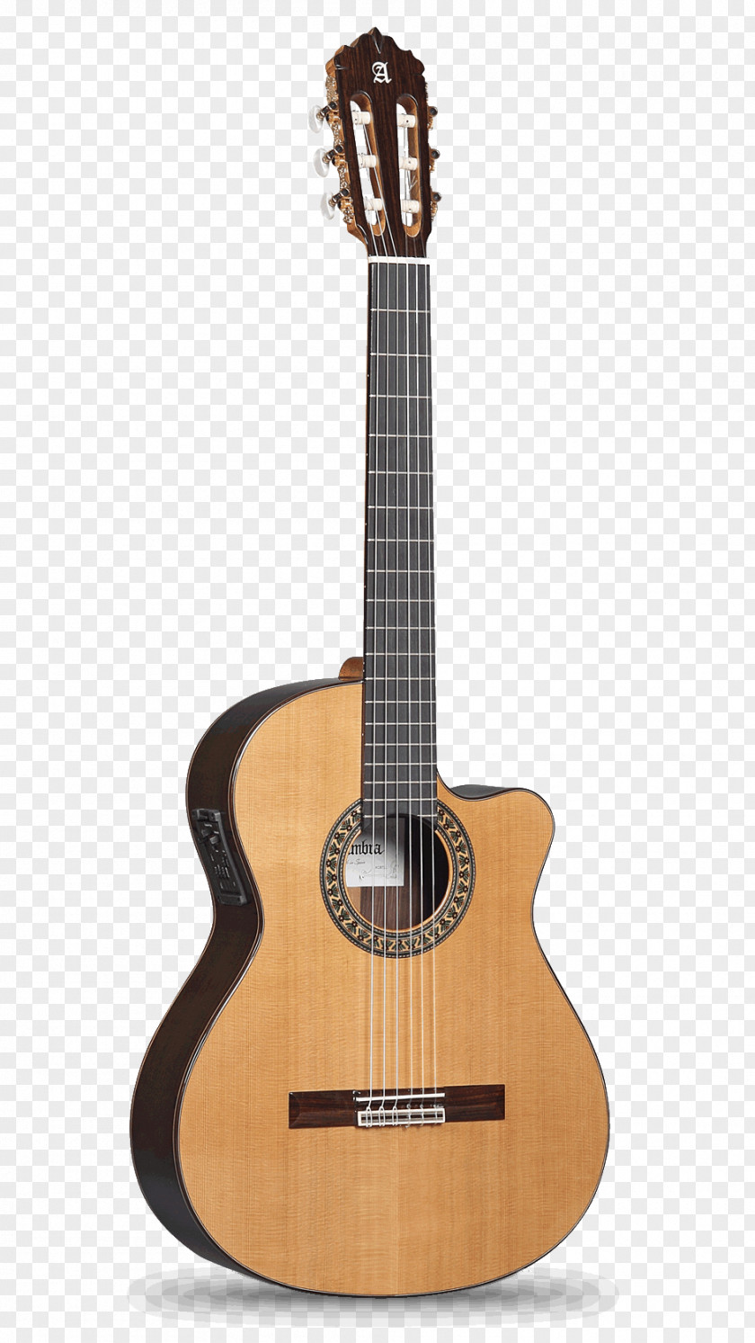 Guitar Recuerdos De La Alhambra Classical Acoustic PNG