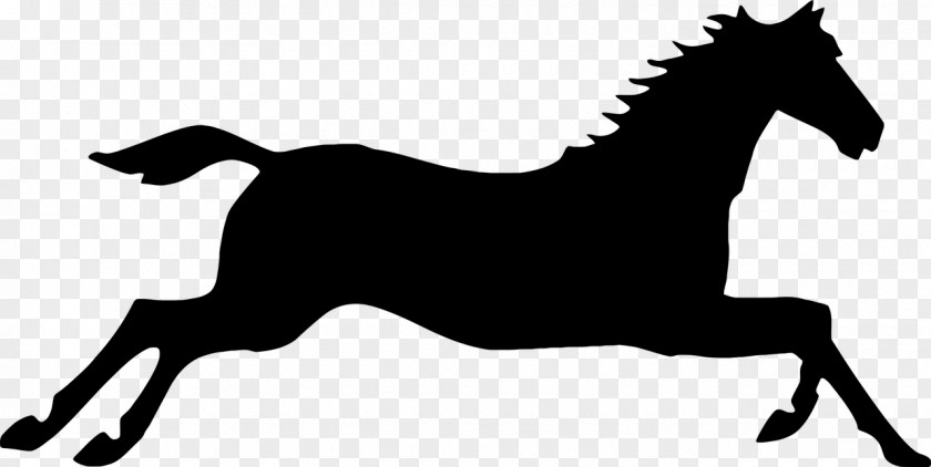 Silhouette Arabian Horse Gallop Friesian Black Forest Clip Art PNG