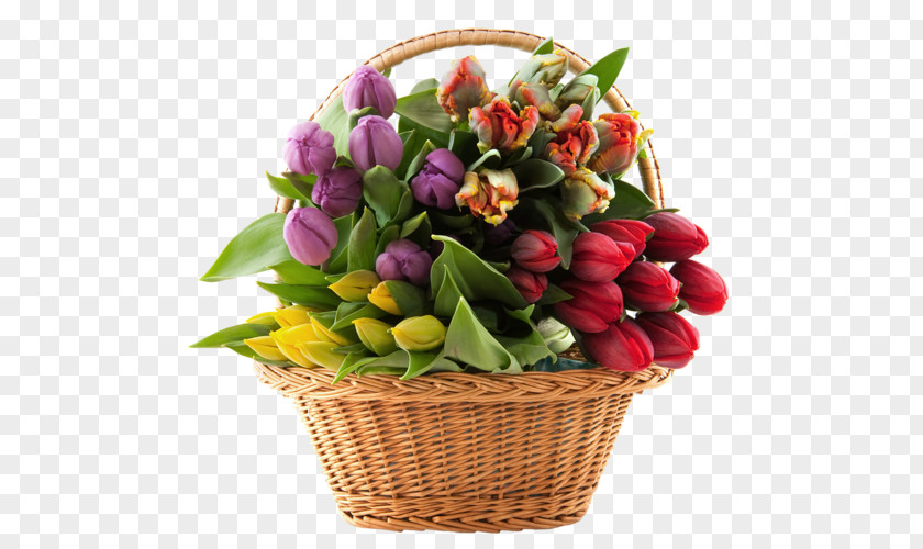 Transparent Basket With Tulips Clipart Floral Design Floristry Flower Rose PNG