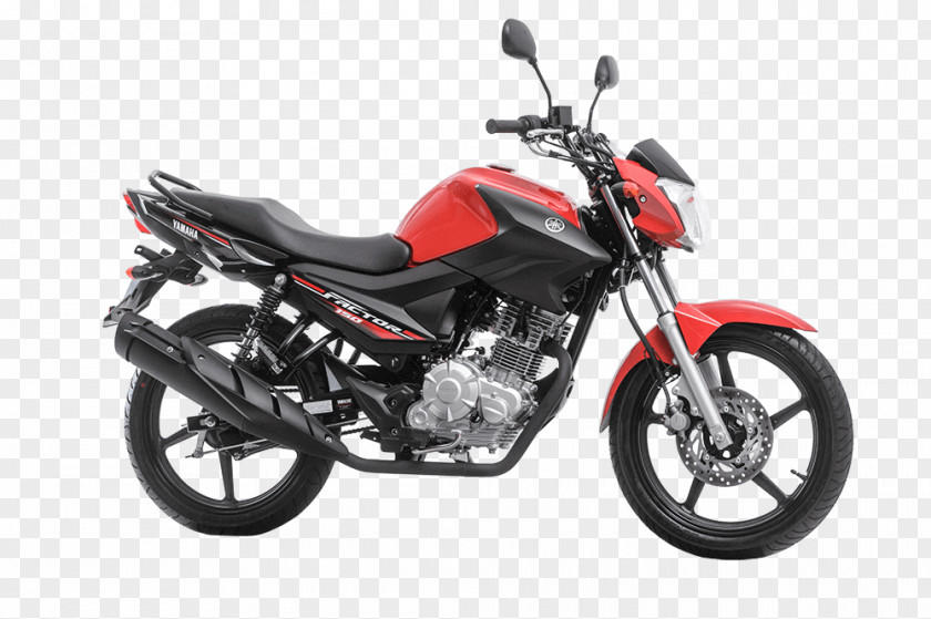 Yamaha Motor Company Fazer YBR 125 Factor Corporation YBR125 PNG