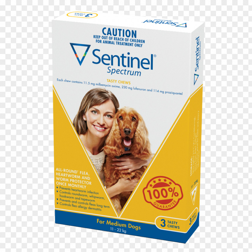 Dog Medium Dogs Heartworm Large Pet PNG