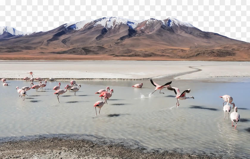 Ecoregion Loch Flamingo M Inlet PNG