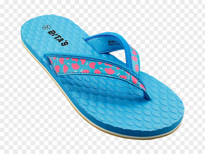 Họa Tiết Flip-flops Slipper Shoe PNG