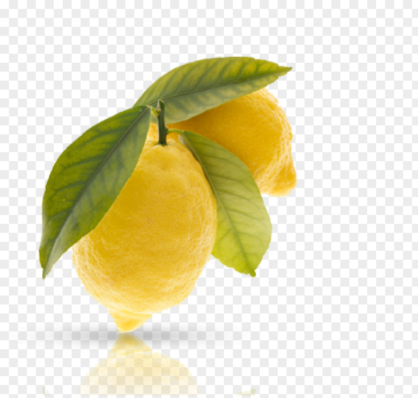 Parma Ham Sweet Lemon Citron Rangpur Meyer PNG