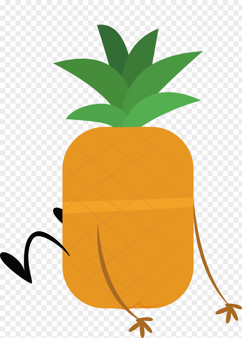 The Confused Pineapple Drawing PNG