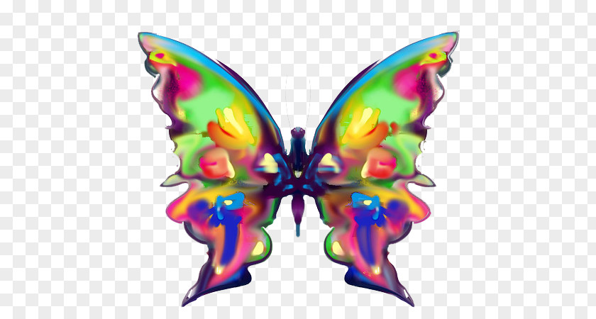 A Butterfly Rainbow Painting Color Clip Art PNG