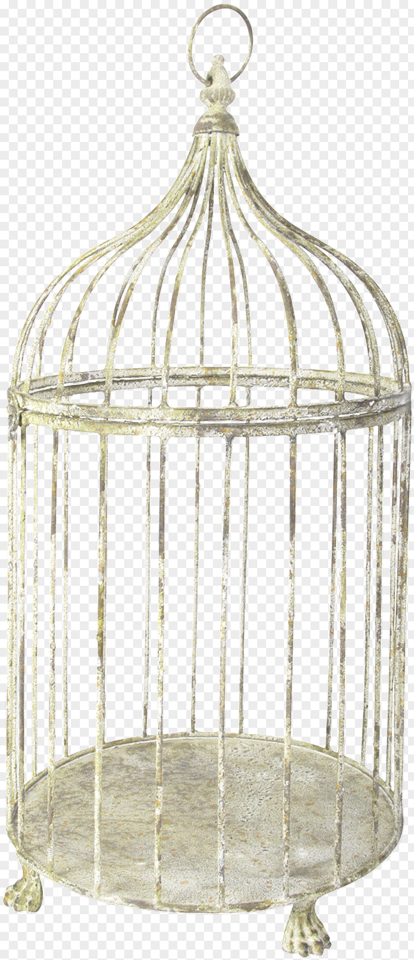 Birdcage Cell PNG