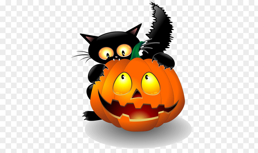 Cat Halloween Pumpkins Jack-o'-lantern PNG