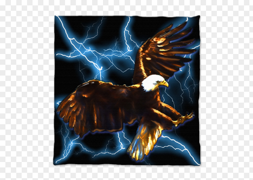 Eagle Bird Of Prey Beak Mythology PNG