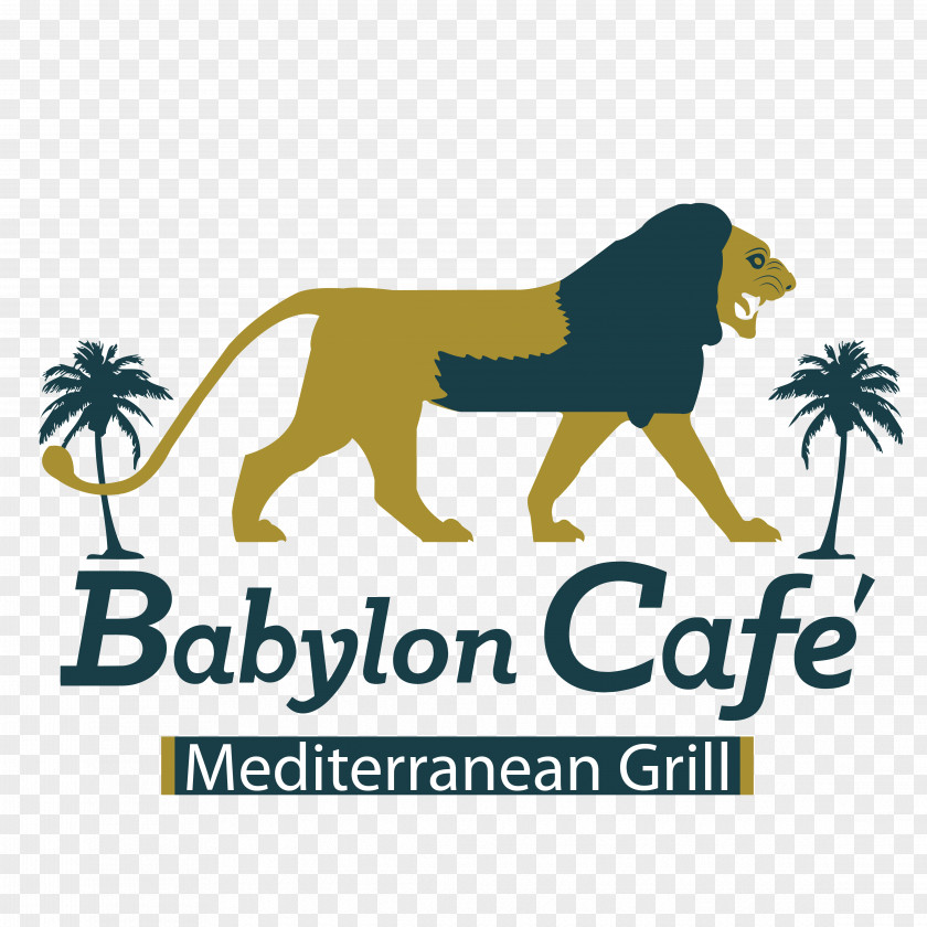 Furnishing Babylon Cafe Mediterranean Cuisine Barbecue Pizza PNG